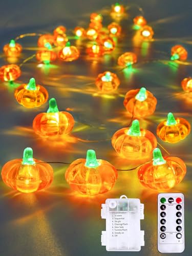 3D pumpkin fall orange string light, 30 LED with remote