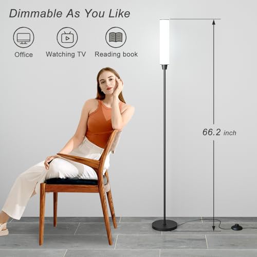 Remote-controlled floor lamp with stepless color and brightness