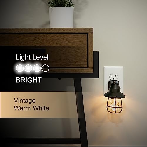 Vintage-style plug-in LED night light with dusk-to-dawn sensor, 2-pack