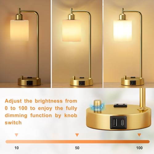 Dimmable industrial table lamp set with USB ports, gold finish, 2-pack