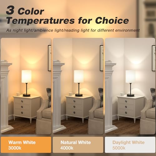 Small bedside table lamp with USB-C/A ports, pull chain and 3 color temperatures