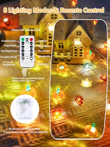 3D pumpkin and acorn fall string light, 30 LED, battery-powered