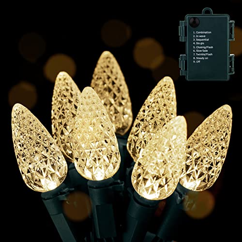 2-pack strawberry C6 string lights, 60 LED 20 ft, 8 modes battery