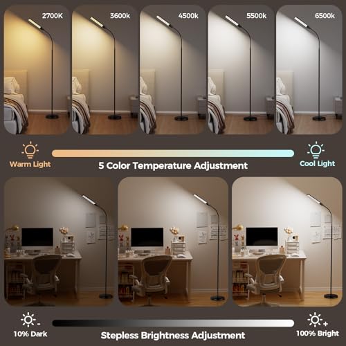 Dual-head gooseneck LED floor lamp with adjustable color temperature