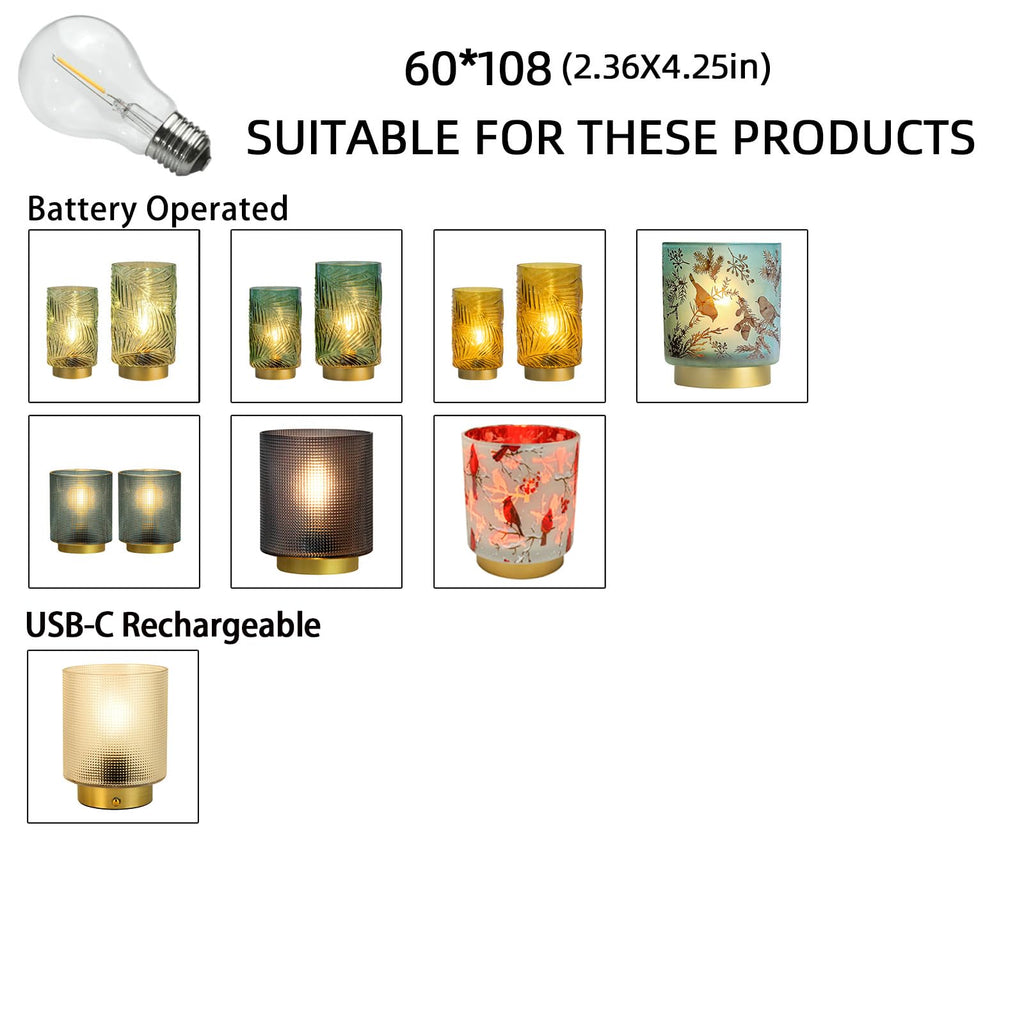 MJ PREMIER E27 LED Bulb 3V Battery Operated – 0.13W, Warm White, Glass, 60x108mm for Special Table Lamps & Custom Lighting