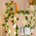 Monstera leaf vine string light, 33 ft, 100 LED, USB powered