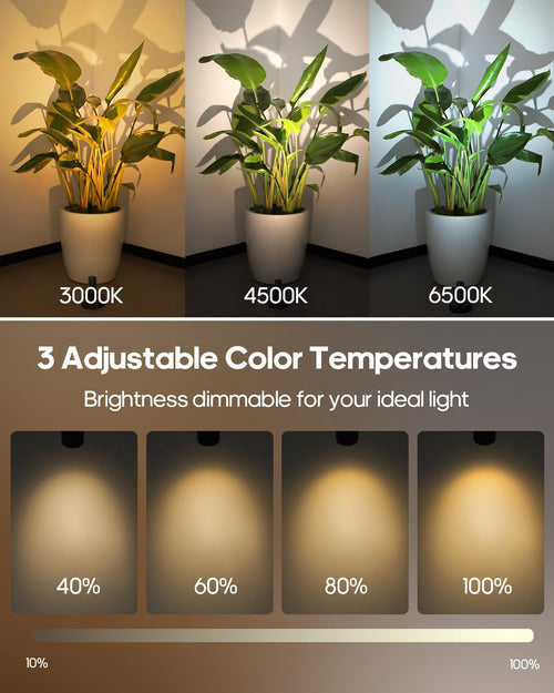 1-Pack LED Spotlight Indoor with Remote – 3000mAh Rechargeable, 3 Color Temps, Dimmable, Wireless for Plant & Artwork Lighting