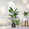 Aumtrly Floor Grow Light Full Spectrum – 68" Stand, 6/12/16H Timer, 3 Light Modes, 5 Dimming Levels for Indoor Plants